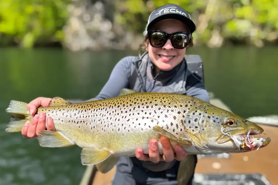Big Trout Caught While Fly Fishing